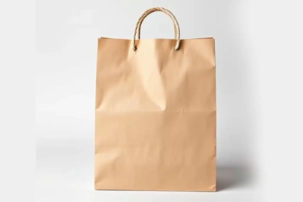 ساک دستی کاغذی ساک دستی کاغذی